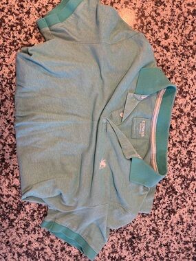Express Men’s Seafoam Polo with Embroidered Pony
